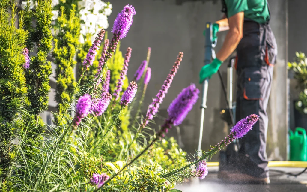 Astuces infaillibles pour bien préparer votre jardin avant l'arrivée du printemps