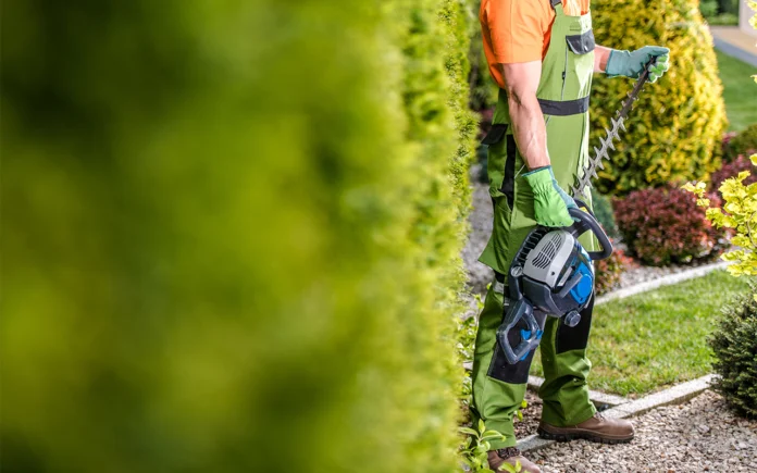 Pourquoi vous devriez absolument éviter de tailler vos arbustes en hiver : voici les conseils des Experts Pourquoi vous devriez absolument éviter de tailler vos arbustes en hiver : voici les conseils des Experts