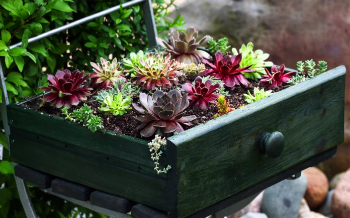 On vous dévoile comment vos vieux meubles peuvent devenir des jardinières tendances et originales On vous dévoile comment vos vieux meubles peuvent devenir des jardinières tendances et originales