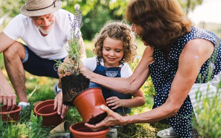 Démarrez maintenant pour un jardin époustouflant au printemps les meilleures plantes à propager en janvier