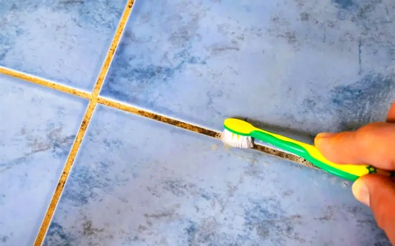 Qui aurait cru que ce simple produit de jardinage pourrait rendre les joints de carrelage comme neufs